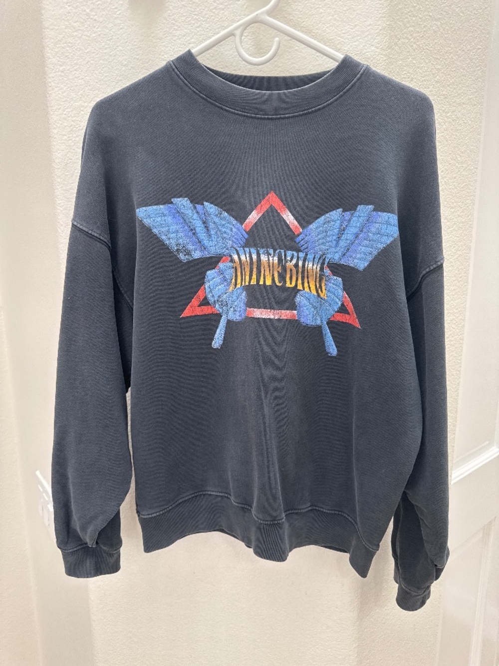 Anine Bing Sweatshirt!